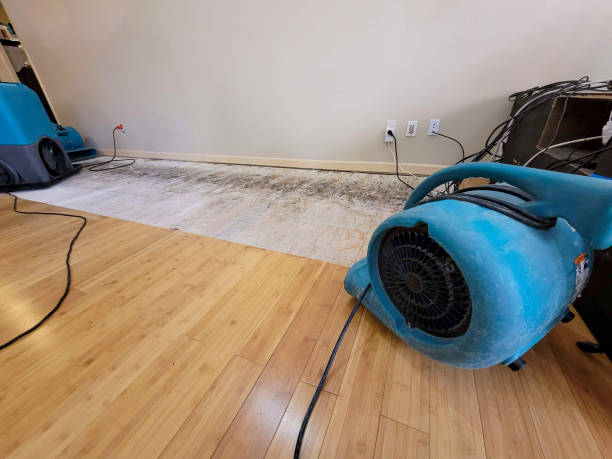 Professional Water Removal technician working in Dodd City, TX